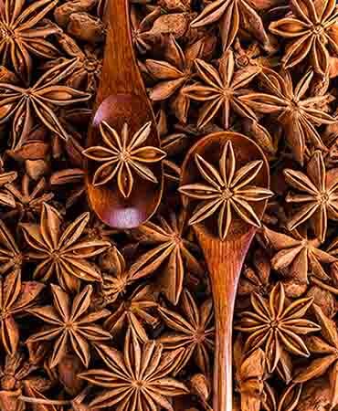 Improve Immunity and Lifestyle Issues with the Magical Star Anise
