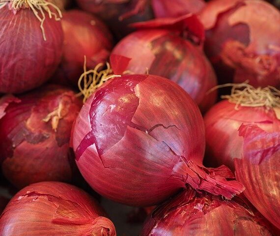 How One Can Get Rid Of Cough And Cold With The Help Of Onion