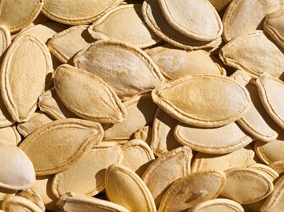 Seeds That Will Boost Your Immunity During This Lockdown