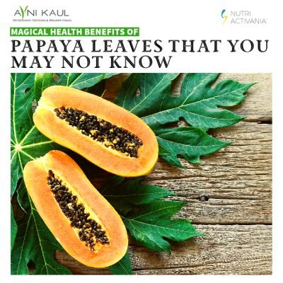 Magical Health Benefits of Papaya Leaves That You May Not Know