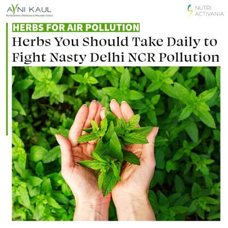Herbs You Should Take Daily to Fight Nasty Delhi NCR Pollution